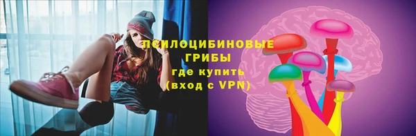 спайс Алексин
