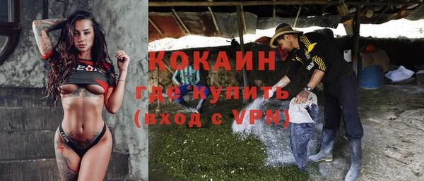 ГАЛЛЮЦИНОГЕННЫЕ ГРИБЫ Няндома