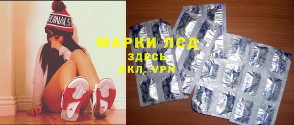 стаф Абинск