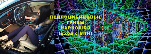мдпв Абаза