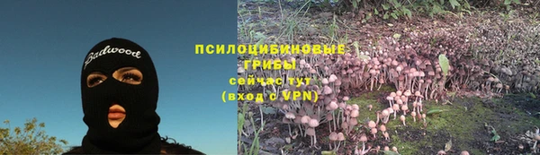 стаф Абинск